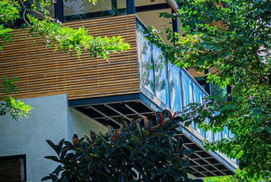 WILD Maderas 1080x1350 boutique jungle resoirt 2026 (10)