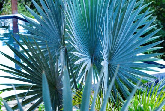 WILD Maderas 1080x1350 boutique jungle resoirt 2026 (11)