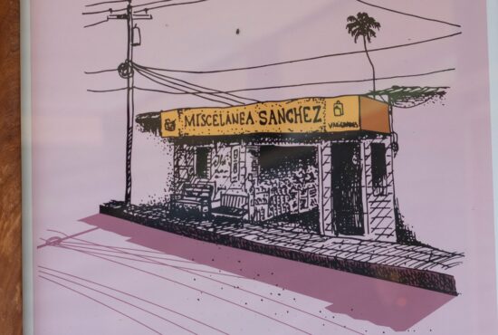 WILD Maderas 1080x1350 boutique jungle resoirt 2026 (3)